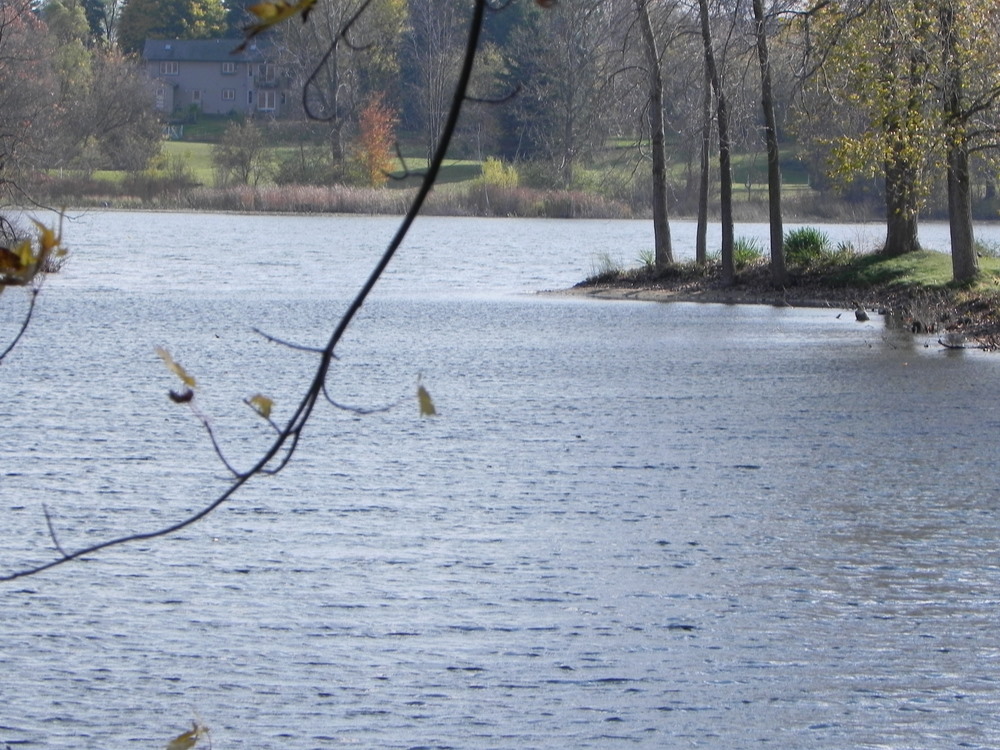Kellogg Lake, Highland MI
