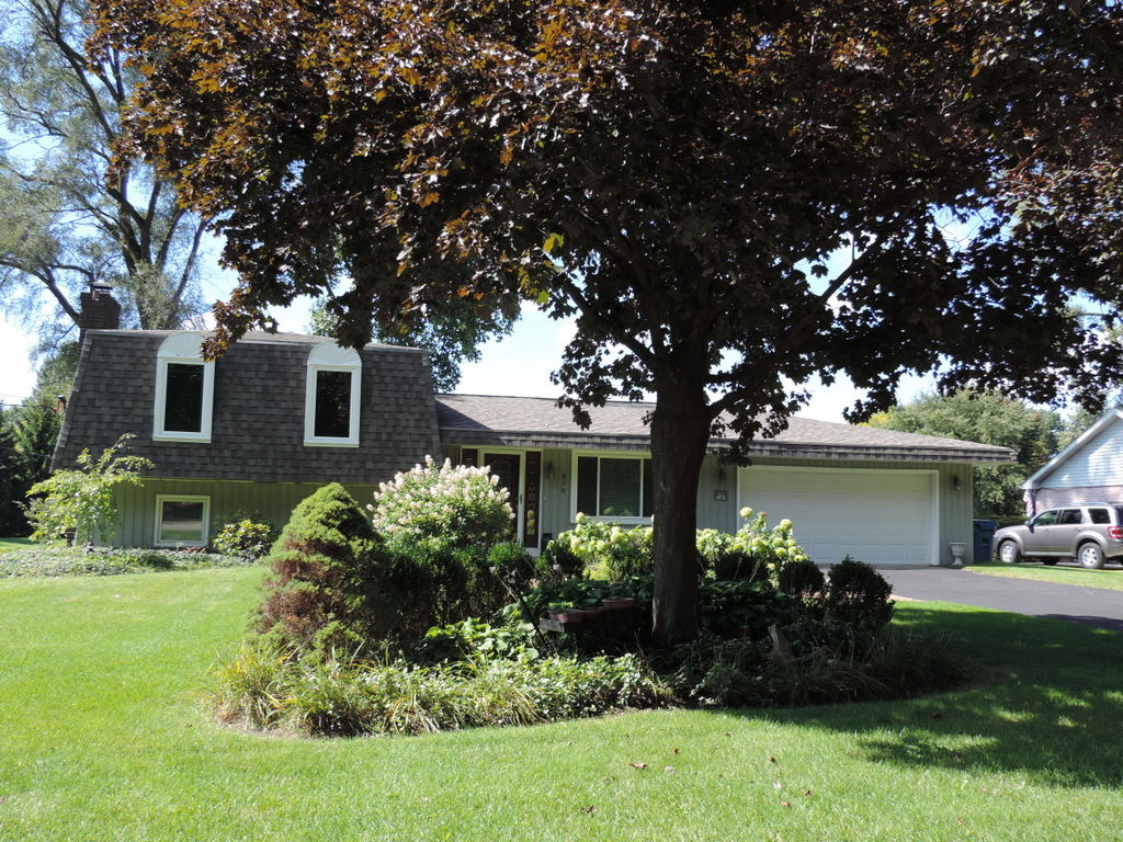 Cedar Island Lake Real Estate